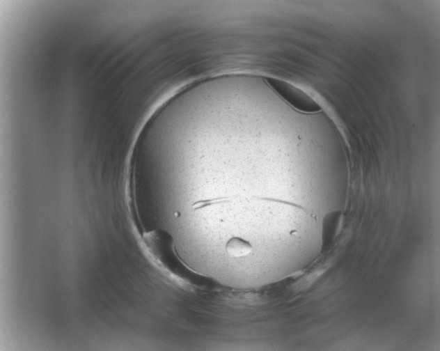 X0000066100957200603241515