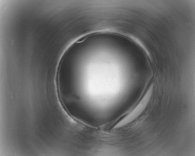 X0000066100959200603241515