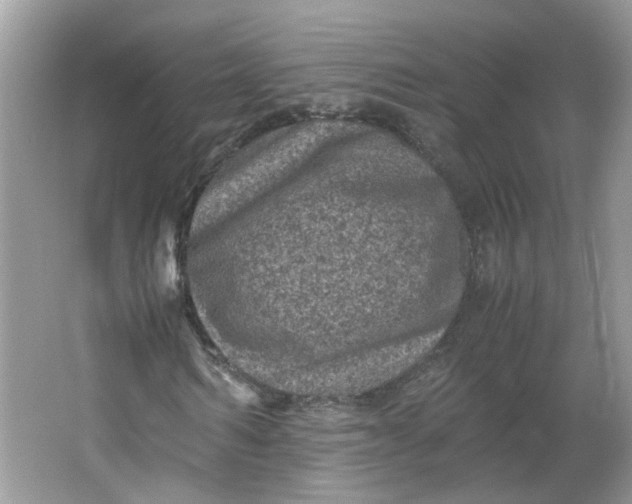 X0000066100962200603241514