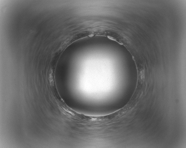 X0000066100963200603241514