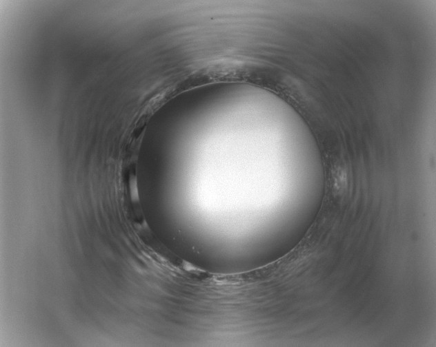 X0000066100964200603241514