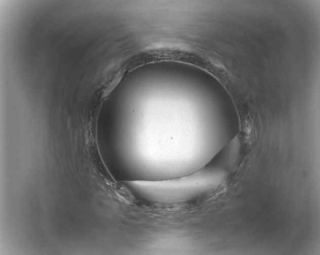 X0000066100965200603241514