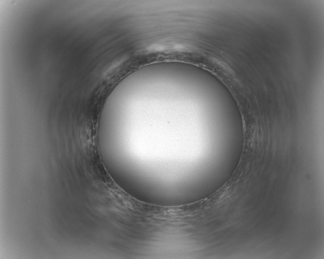 X0000066100966200603241514