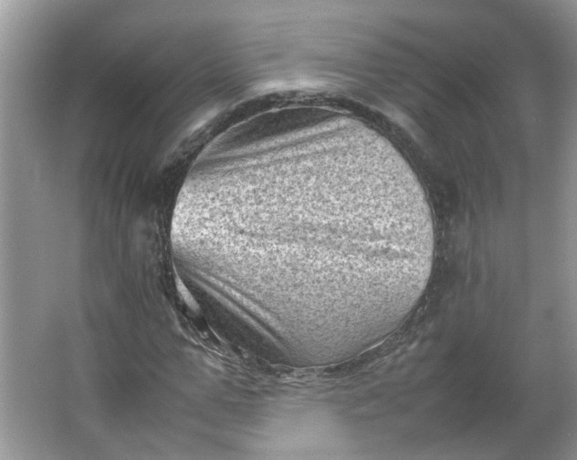 X0000066100967200603241514