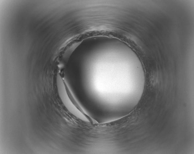 X0000066100968200603241514