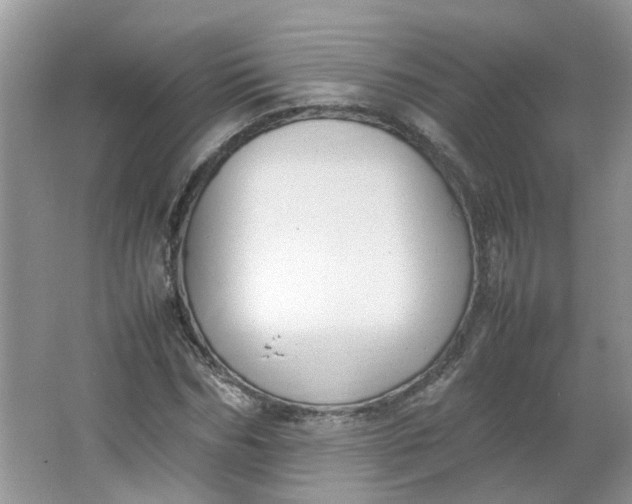 X0000066100970200603241514