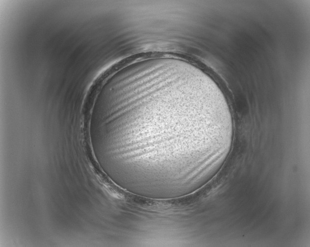 X0000066100971200603241514