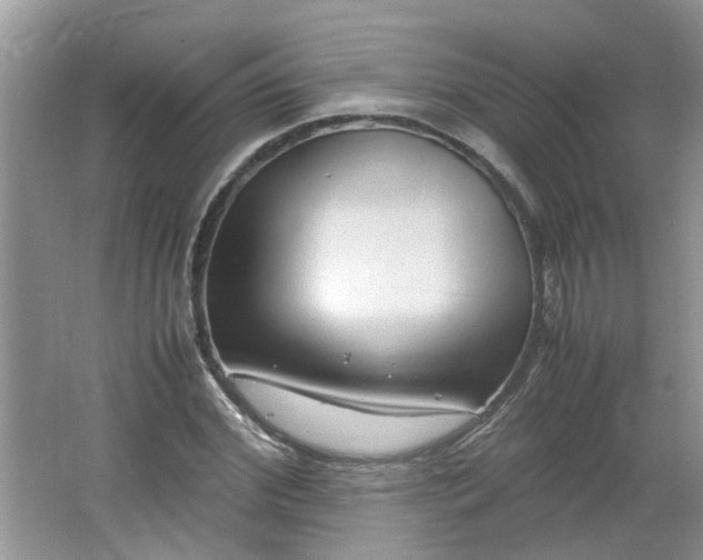 X0000066100972200603241514