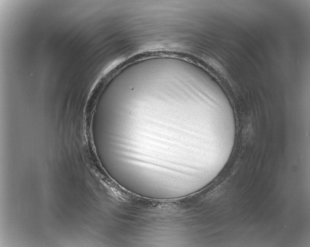 X0000066100974200603241514