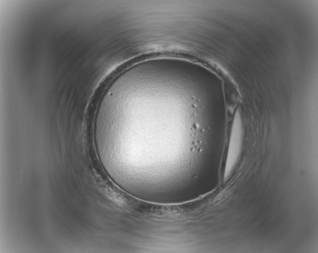 X0000066100975200603241514