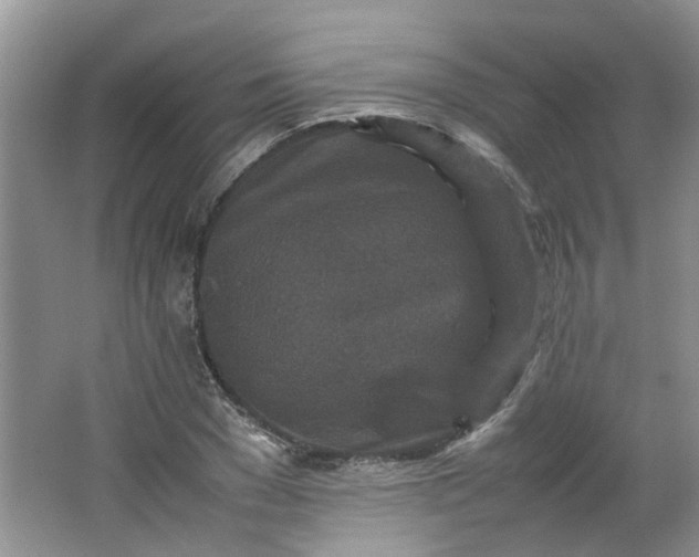 X0000066100977200603241514