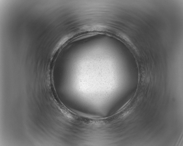 X0000066100978200603241514