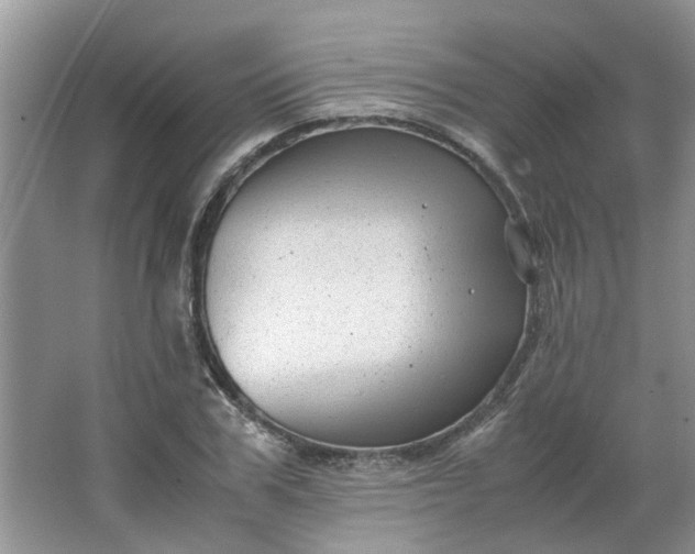 X0000066100979200603241514