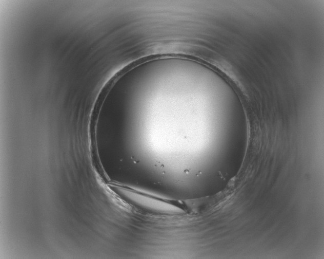 X0000066100980200603241514