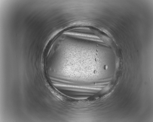 X0000066100981200603241514