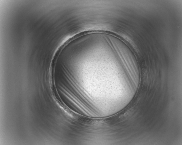 X0000066100982200603241514