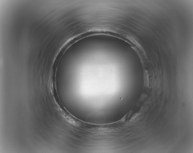 X0000066100984200603241514