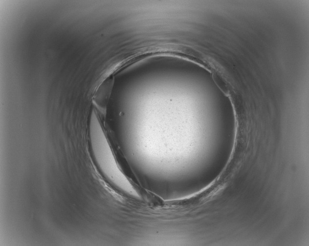 X0000066100985200603241513