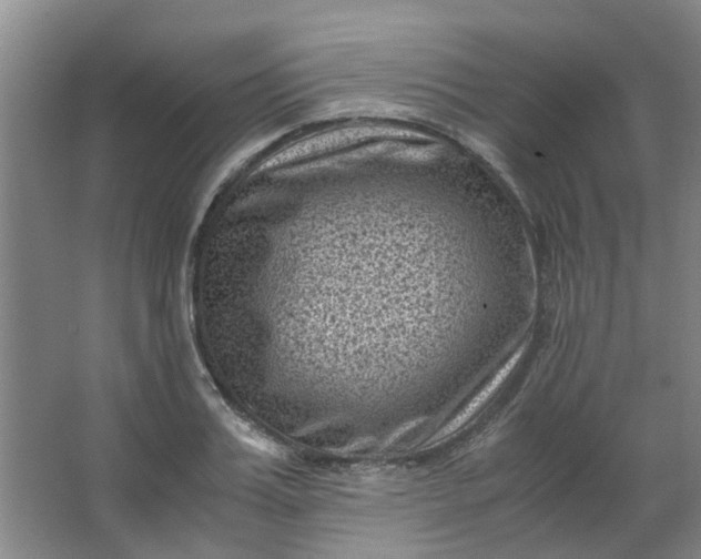 X0000066100987200603241513