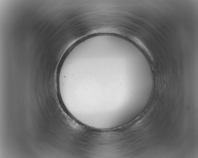 X0000066100988200603241513