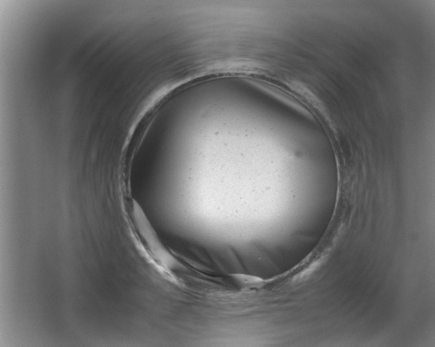 X0000066100989200603241513