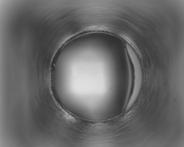 X0000066100992200603241513