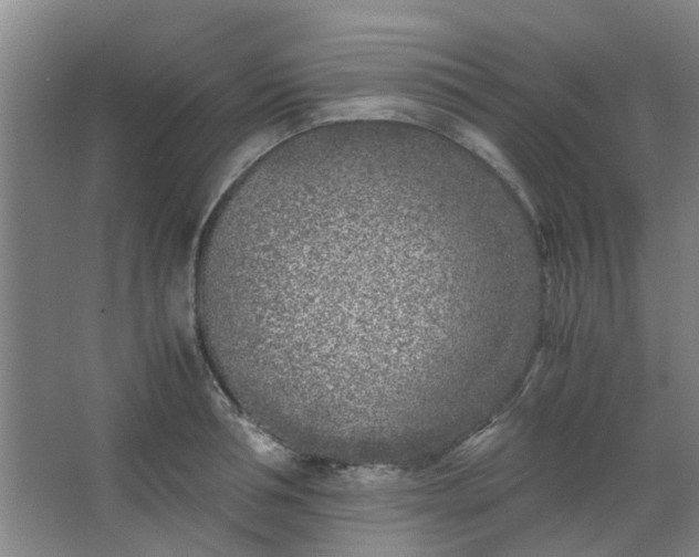 X0000066100994200603241513