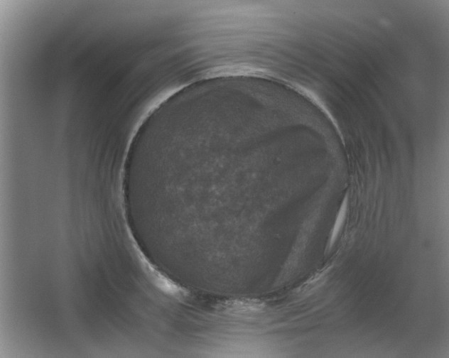 X0000066100995200603241513