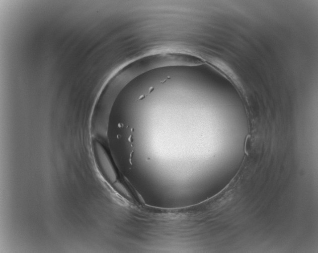 X0000066100996200603241513