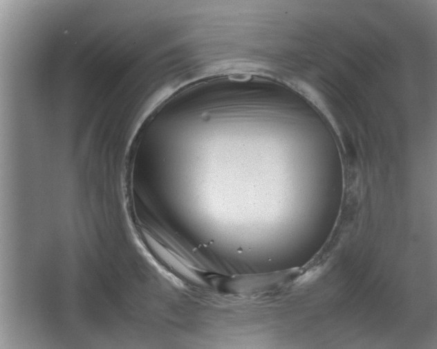 X0000066100997200603241513