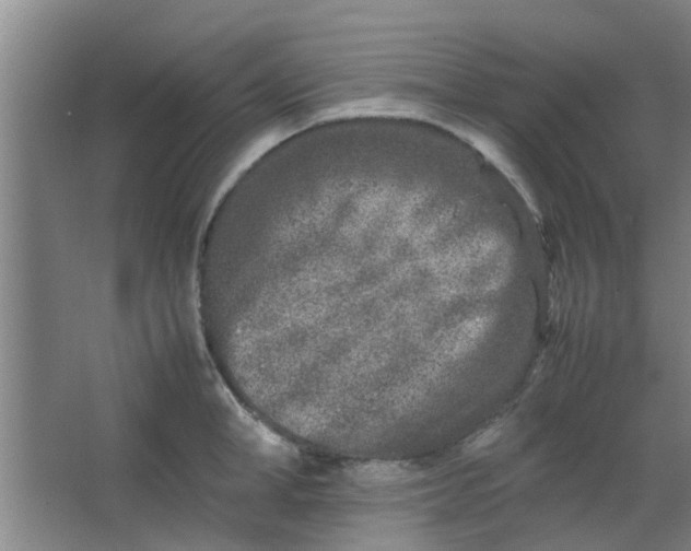 X0000066100998200603241513