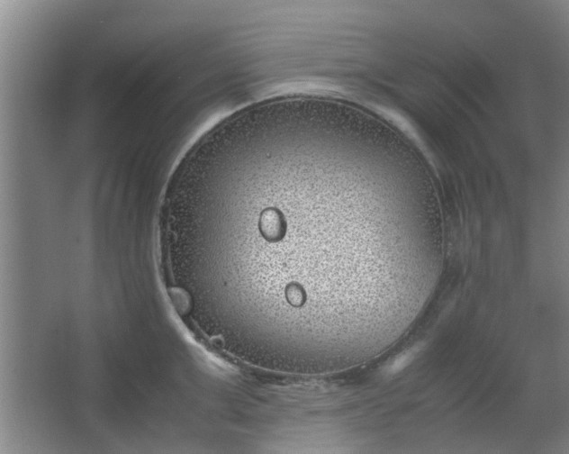 X0000066100999200603241513