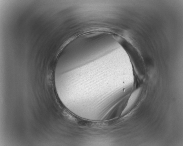 X0000066101001200603241513