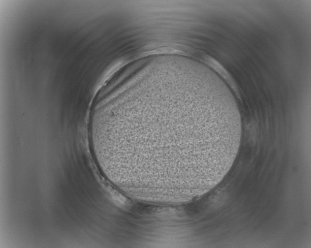 X0000066101002200603241513