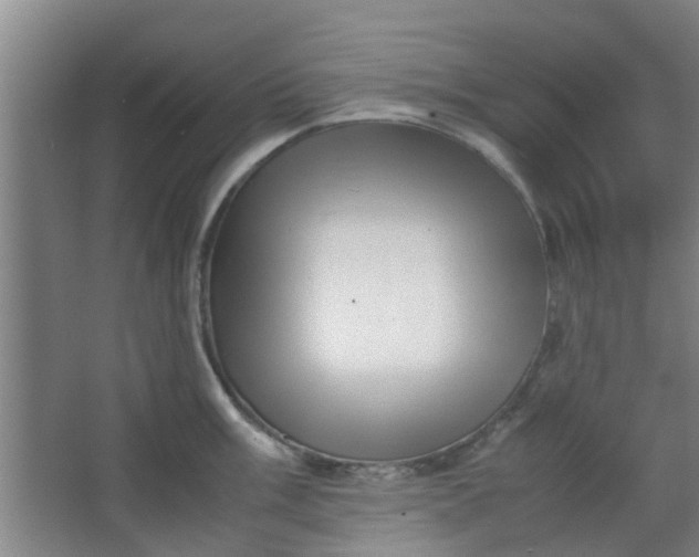 X0000066101003200603241513