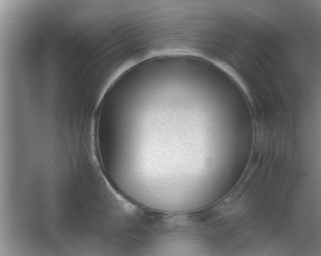 X0000066101006200603241513