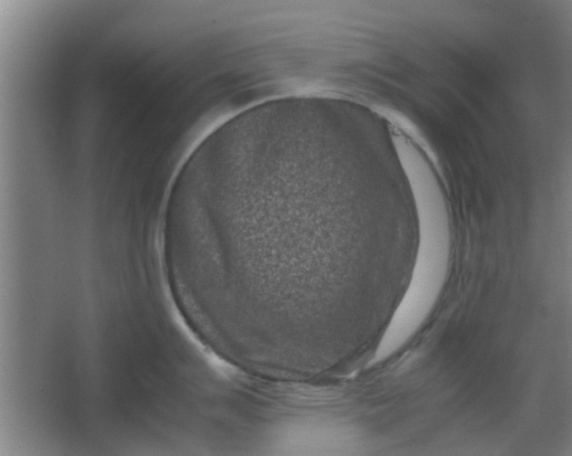 X0000066101007200603241513