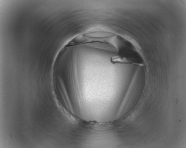 X0000066101008200603241513