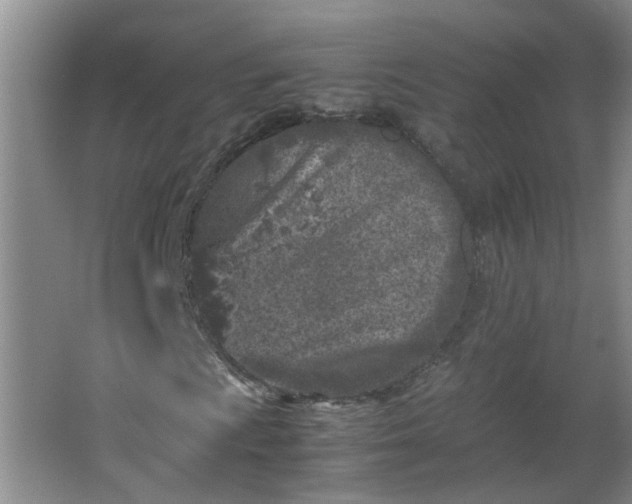 X0000066101009200603241512