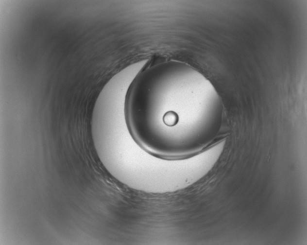 X0000066101010200603241512