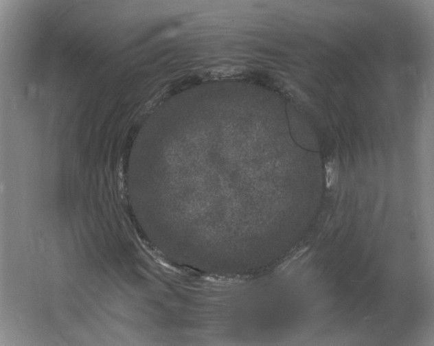 X0000066101011200603241512