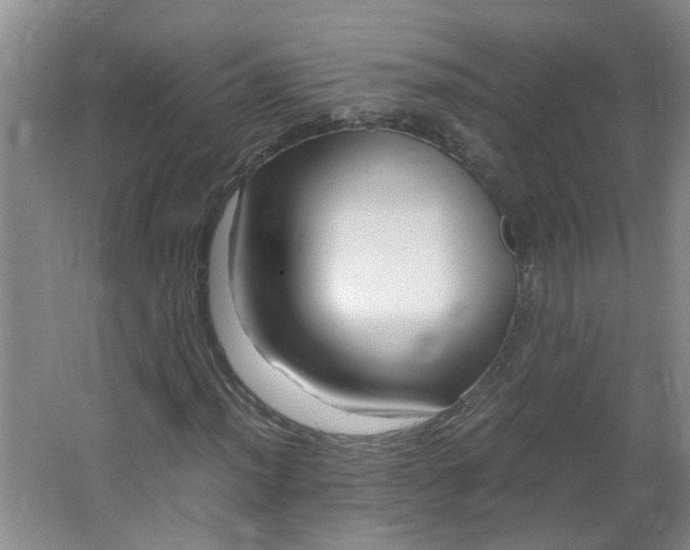 X0000066101012200603241512