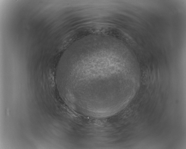 X0000066101013200603241512