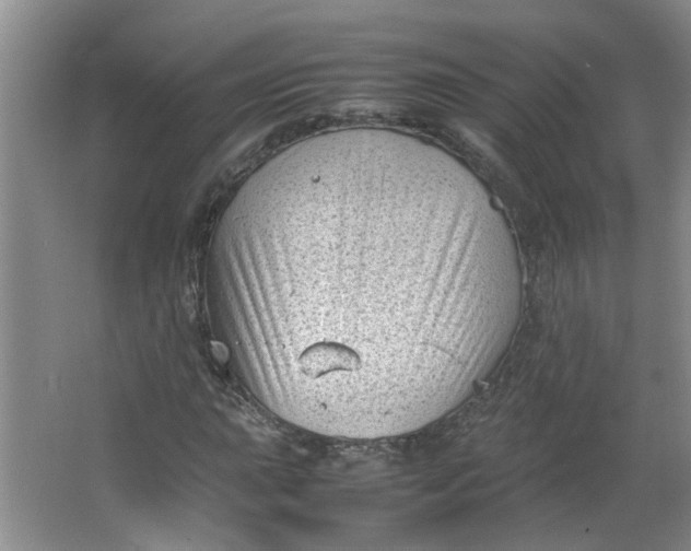 X0000066101015200603241512