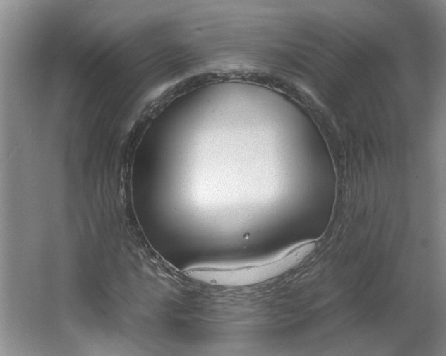 X0000066101016200603241512