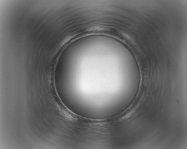 X0000066101017200603241512