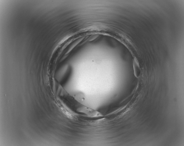 X0000066101018200603241512