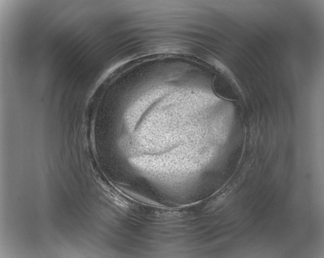 X0000066101019200603241512