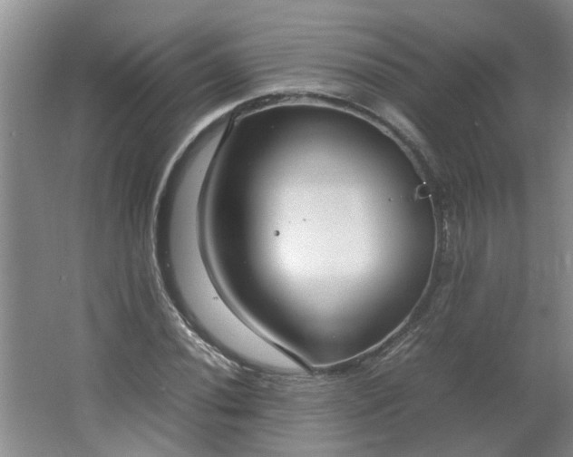 X0000066101020200603241512