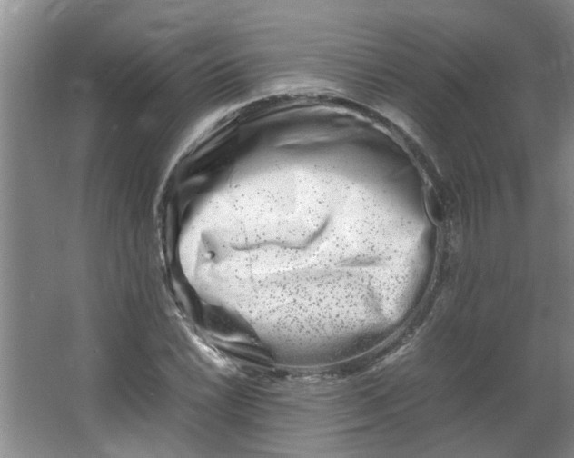 X0000066101022200603241513